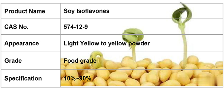 Natural Organic Soybean Extract Soy Isoflavones Powder